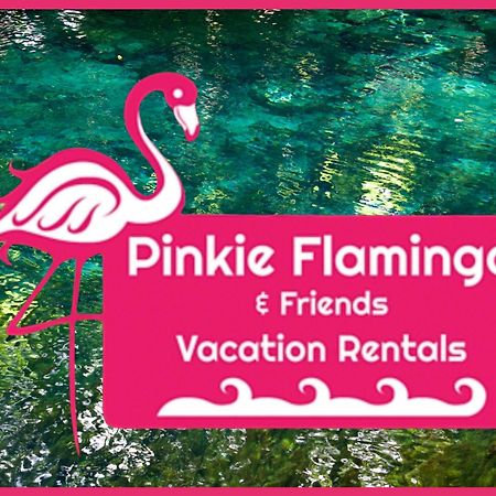 Anna'S Beach House Walk-Out To 30A In Seacrest- Pet-Friendly Розмари Бийч Екстериор снимка